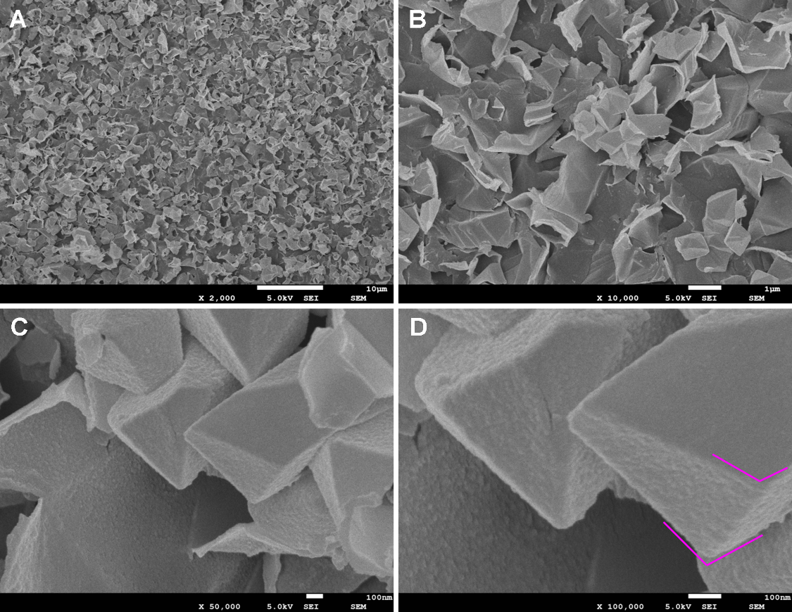 三维类石墨烯多孔碳纳米片的非生物质前体构筑及电化学储能应用